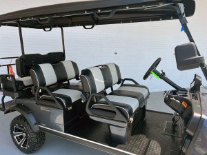 Evolution Forester 6 Plus Limo Charcoal Lithium Cart 004